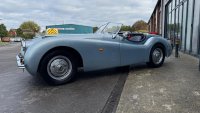 JAGUAR 