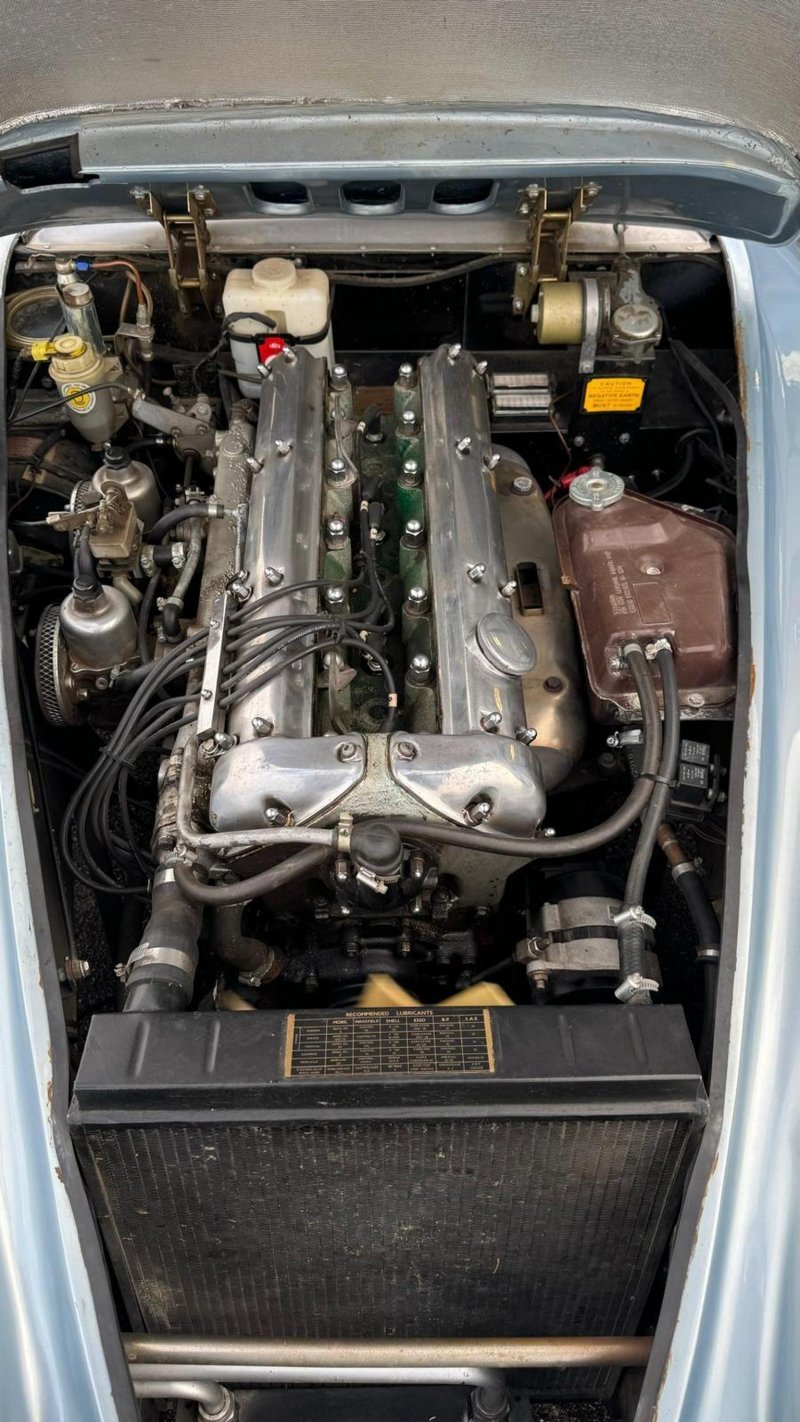 JAGUAR 